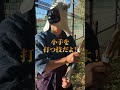 身長が高い相手に決まる技