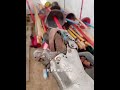 欧洲中世纪的马上长矛比试! #科普 #百科密码 #知识渊博 #shorts