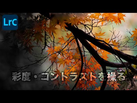 彩度・コントラストを操る