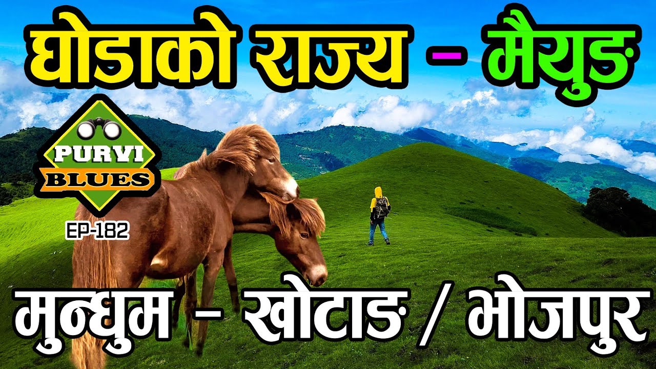 घोडाले राज्य गर्ने मैयुङ डाडाँ || जनावर मात्र भेटिने स्थान  Mundhum Trail Khotang Bhojpur || Maiyung