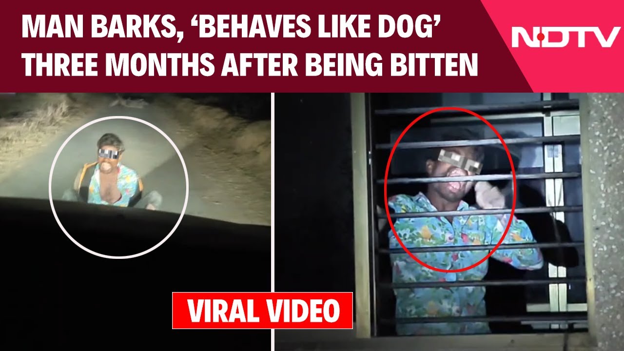 Suspected Rabies Case In Gujarat: Man Hospitalised After Disturbing ...