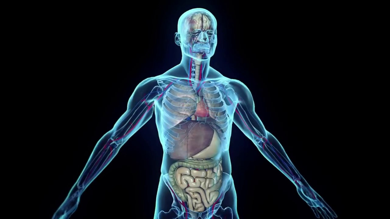 form-sequential-gel-technology-youtube