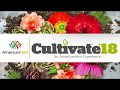 Hort tv inroom cultivate18