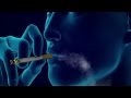 Antismoking ad smoking causes emphysema lung cancer shorts