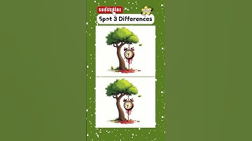 Find 3 Differences #259