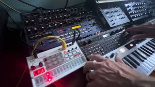 JSI Progue (diy kit synth, mini moog / rogue), korg vSample2 & SQ-64, Roland JP-8080 slow jam