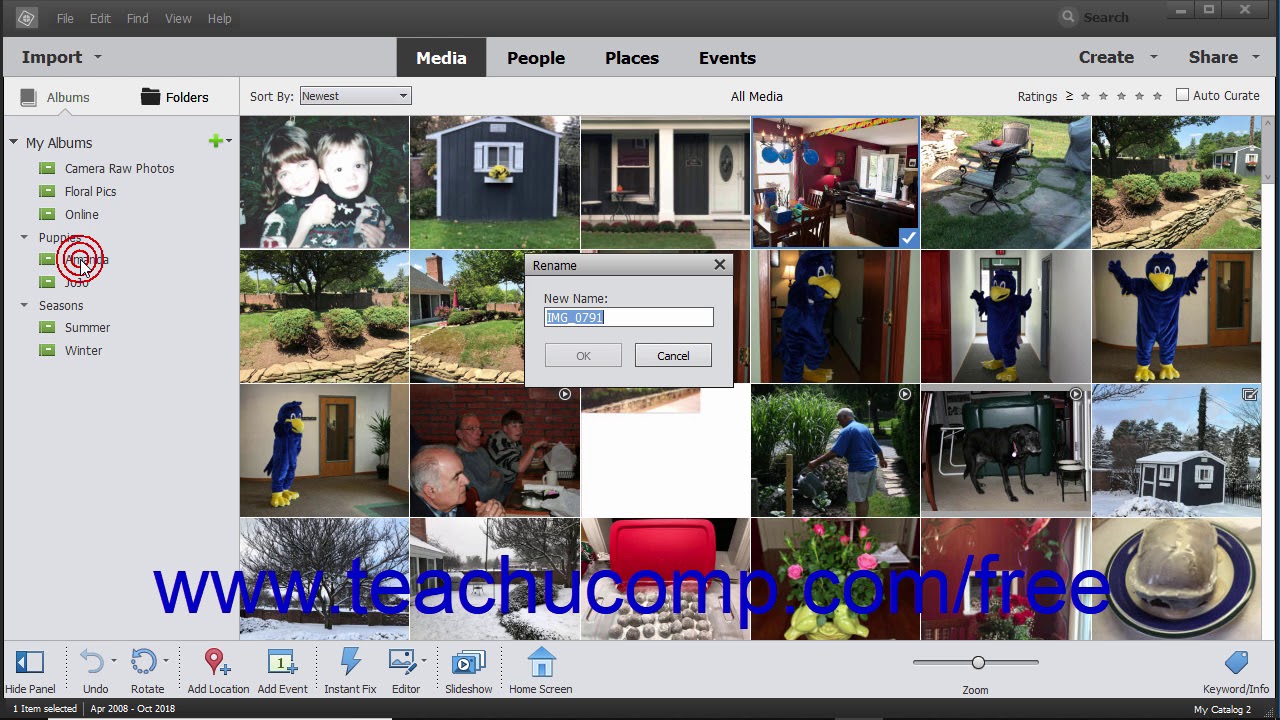 Photoshop Elements 2019 Tutorial Renaming Images Adobe Training - YouTube