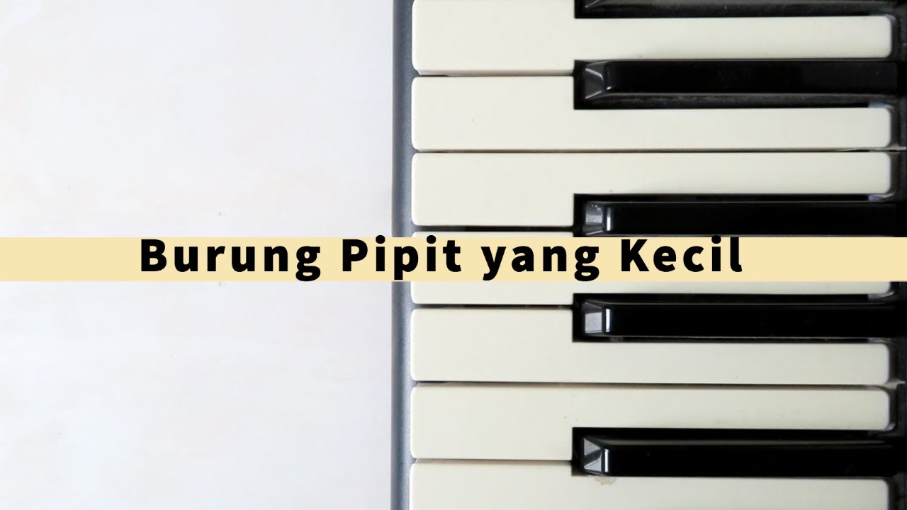 Burung Pipit yang Kecil 