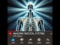 The Amazing Human Skeletal System: From Birth to Death &amp; How to Keep It Healthy