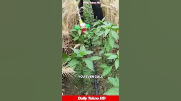 This Weeding Tool is a Game Changer! 🌱 #GardeningTools