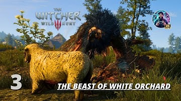 The Witcher 3: Wild Hunt Gameplay PC Part 3 - The Beast of White Orchard