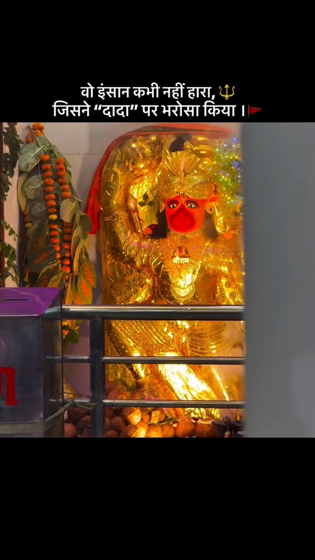 हनुमान जन्मोत्सव - ShareChat