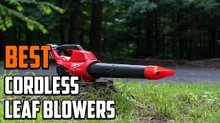 Top 10 Best Cordless Leaf Blower On Amazon
