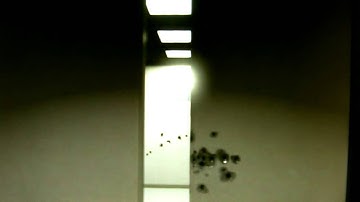 GTA 5 Online  Filming Automatic doors