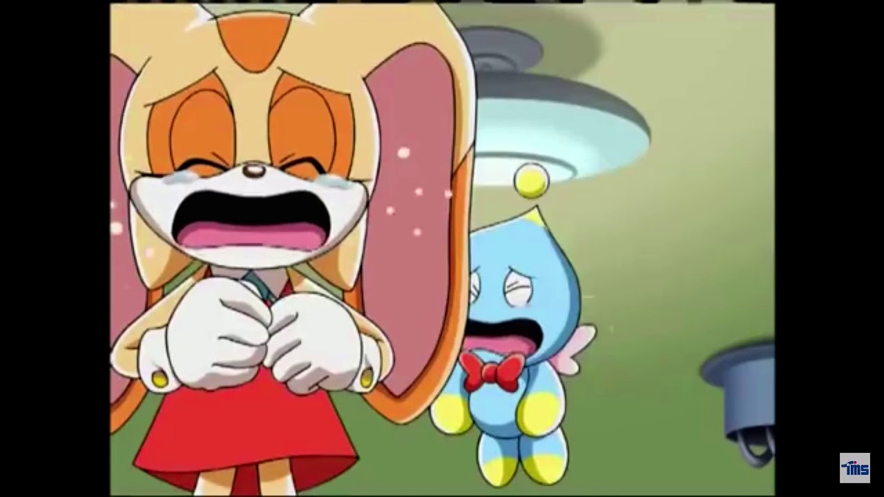 Sonic X Cream Crying