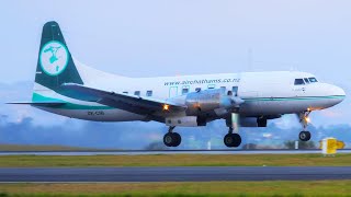 WORLD&#39;S LAST PASSENGER CV-580 FLIGHT Air Chathams Convair 580 Landing | Auckland Airport (AKL/NZAA)