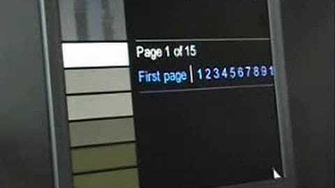 Screen magnification software demo