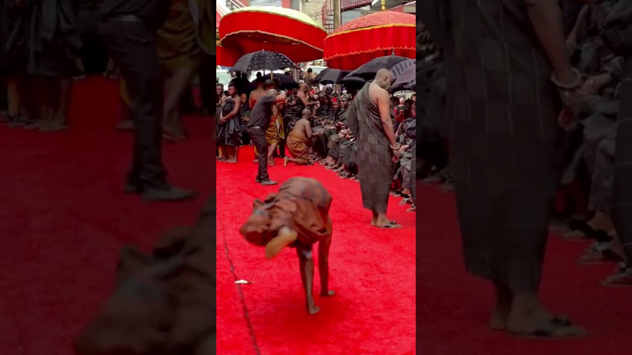 The Akans Cultural dance  |  Asante tribe People of Ghana | Adowa Dance 