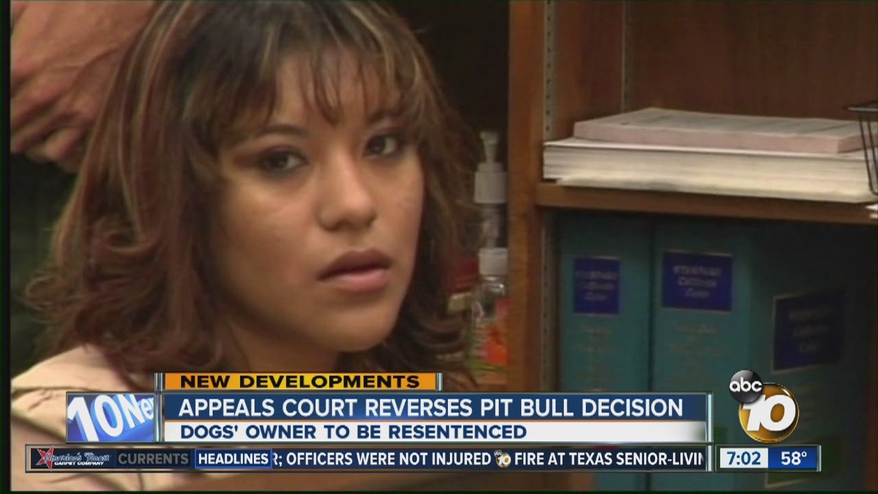 Paradise Hills Woman Convicted In Fatal 2010 Pit Bull Attack Wins Appeal Youtube