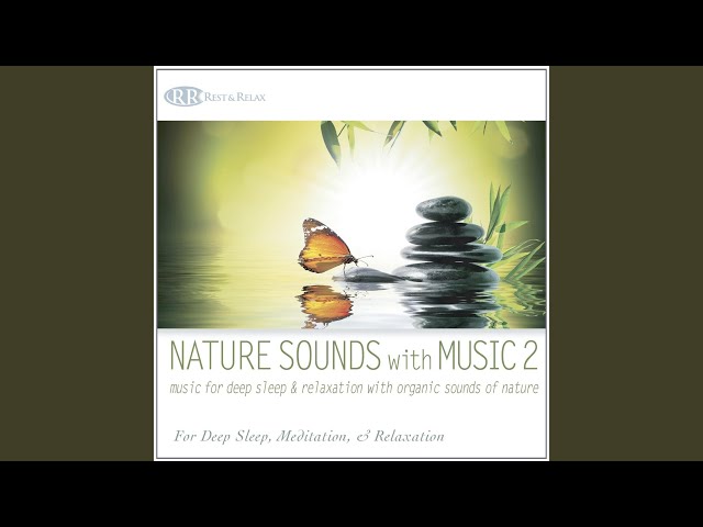 Akim Bliss - Deep Sleep Ambience With Ocean Currents