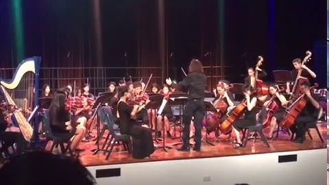 Concerto for Strings in D major, RV 121, 1st mmt - Vivaldi