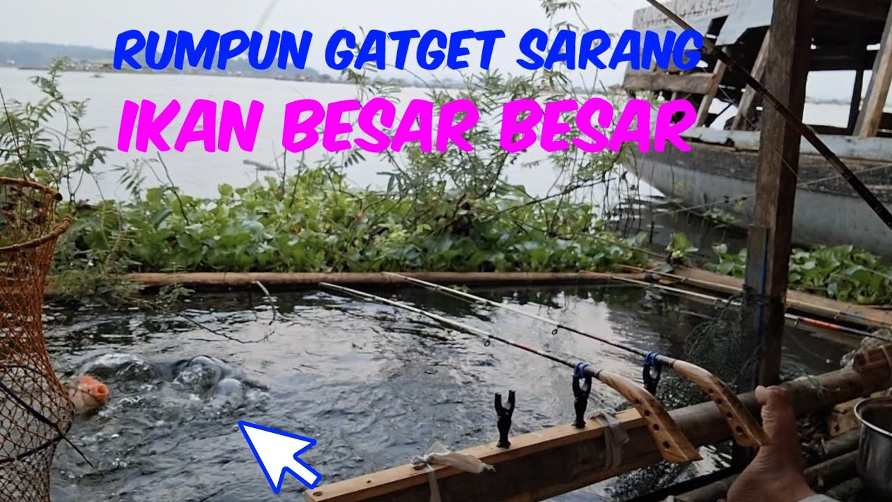 AMAZING!! 3 JAM SAJA DI RUMPUN GATGET//MANCING CIRATA TERBARU