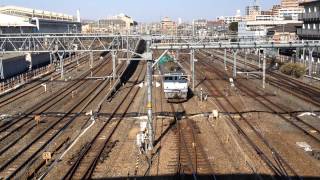 EF65 2037貨物列車【大宮】