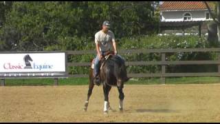 Reining Whiz March 2010 2010_03_19_16_40_24.avi Update
