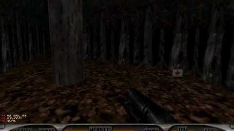 Duke Nukem 3D: Realms of Grune Level 3 Part 1