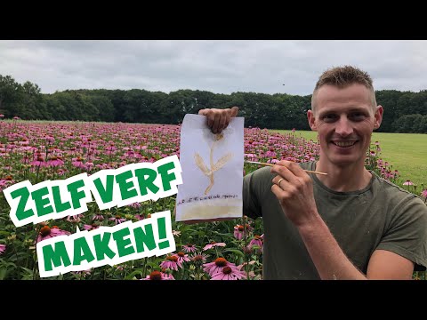 Video: Hoe Om Blomme In Waterverf Te Verf