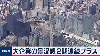 法人企業景気予測調査（2020年12月10日）