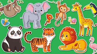 Learn Wild Zoo Animal Names And Sounds