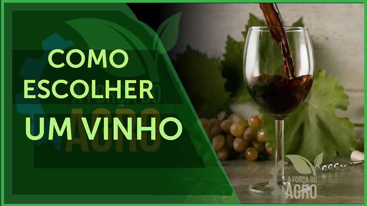 Consumo de vinho no Brasil vem aumentando