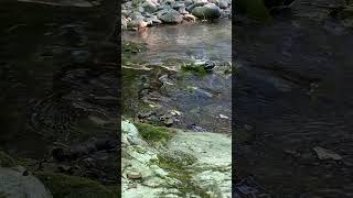 Moment relaxant