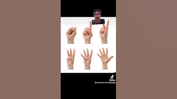 Data. Types and variables