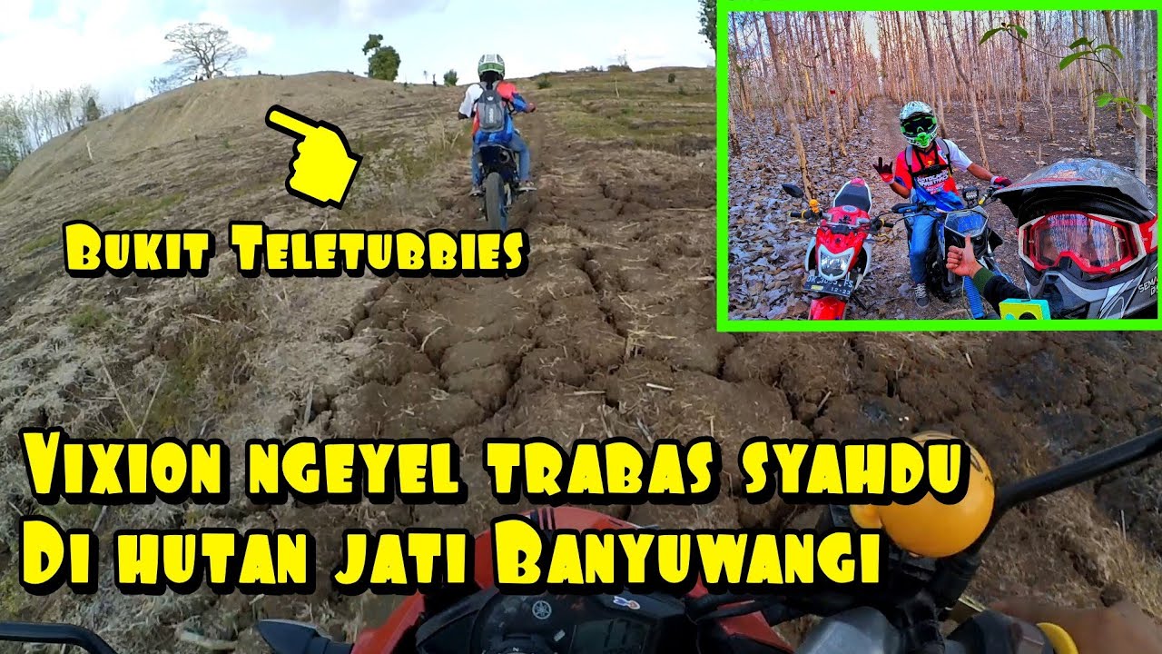 Explore trabas Hutan curah jati di Banyuwangi - vixion ngeyel