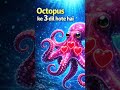 Kya Tumhe Pata Hai? Octopus ke 3 Dil Hote Hai 😳#shortvideo #shorts #youtubeshorts #facts