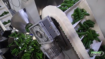 PrimoCombi multihead weigher packaging mini cucumbers into pre-made stand up pouches