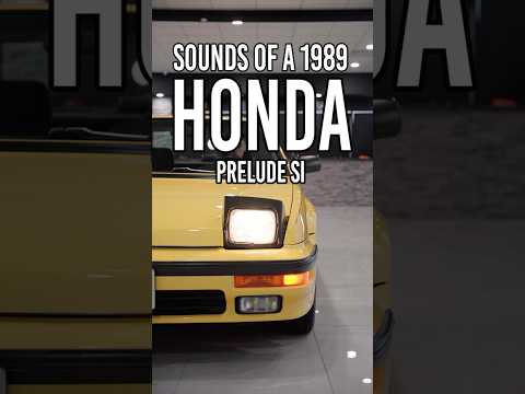 Sounds of our