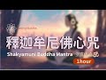 淨化念頭開啟佛智 釋迦牟尼佛心咒一小時Shakyamuni Buddha Mantra One Hour With Handpan 空靈療癒音樂 淨化念頭開啟佛智 釋迦牟尼佛心咒一小時Shakyamuni Buddha Mantra One Hour With Handpan 空靈療癒音樂