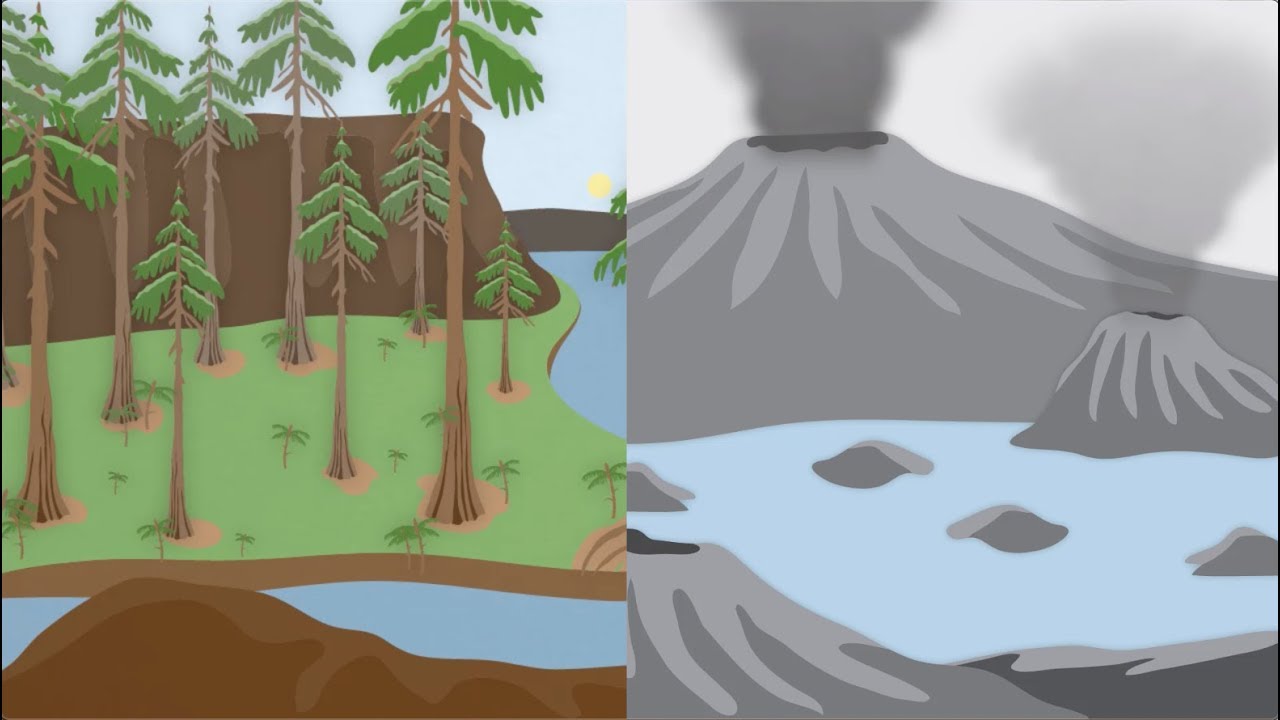 How did plants change our planet? | California Academy of Sciences