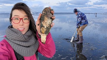 DIGGING RAZOR CLAMS and Cooking Them! COASTAL FORAGING