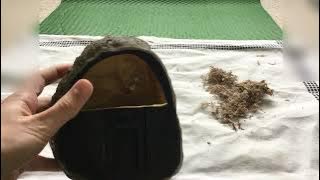 Review on exo terra canopy cave