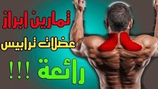 Fitness_GYm_أقوي تمارين عضلة الترابيس