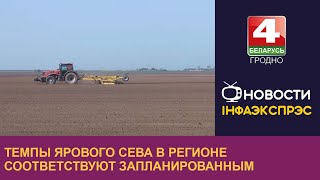 Темпы ярового сева в регионе соответствуют запланированным