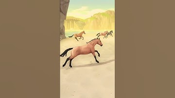 🐎 #starstable #horse