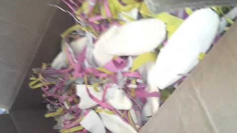 Tempted to Attempt CUTTLEBONE CASTING PART:1