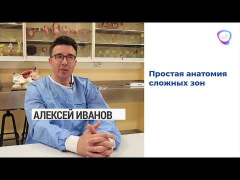 Простая анатомия сложных зон для косметологов