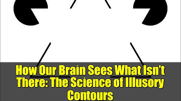 How Our Brain Sees What Isn’t There: The Science of Illusory Contours