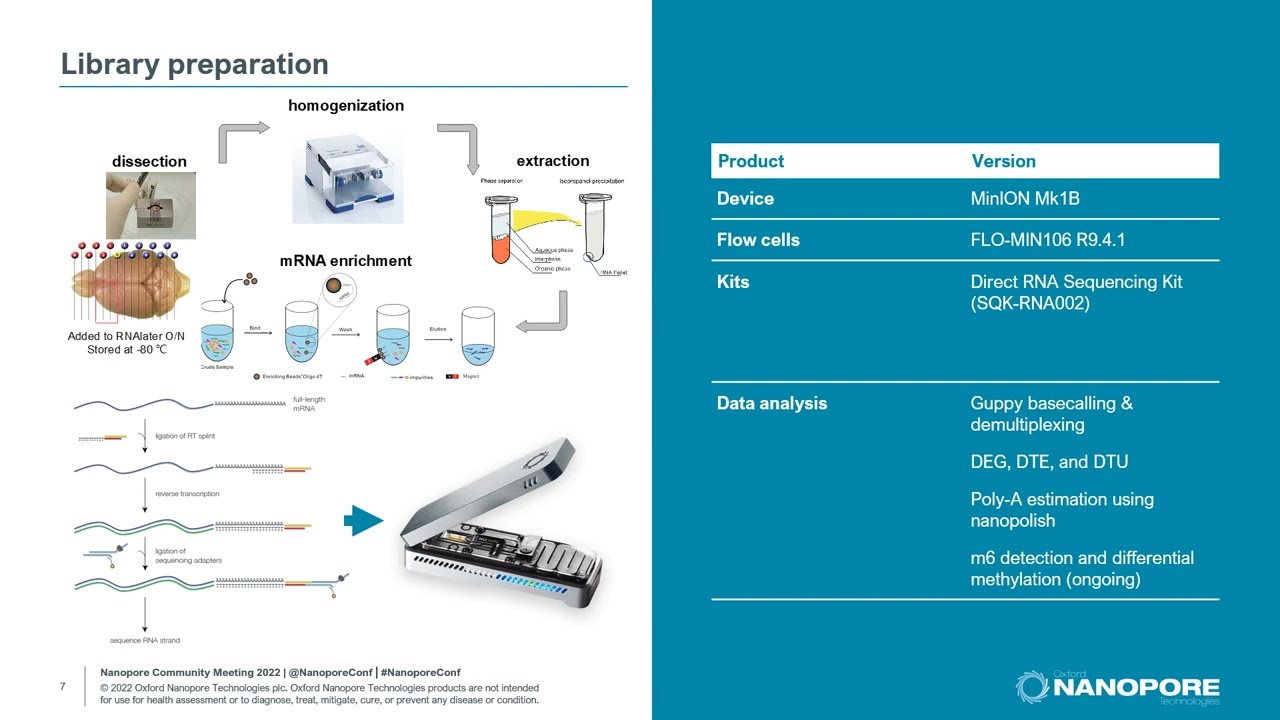 Callum Parr: A brief history of splicing: direct RNA sequencing of mouse brain samples